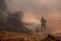 Πολύ μεγάλη η φωτιά στα Δερβενοχώρια: Εκκενώνονται 4 οικισμοί - 7 μποφόρ στην περιοχή