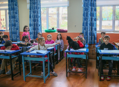 Σε σχολείο στην Τουρκία γάτες και μαθητές κάνουν μάθημα μαζί (φωτογραφίες)