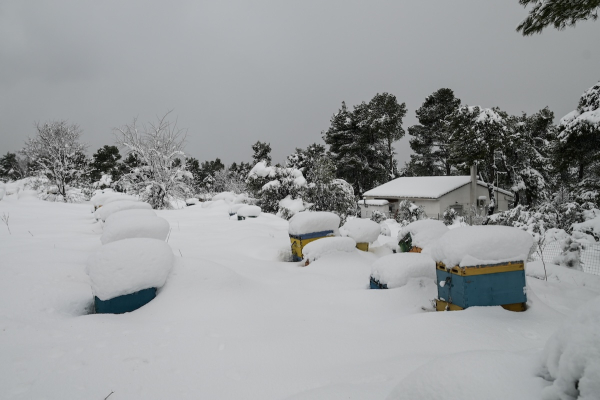 Έντονες χιονοπτώσεις και σήμερα: Οι περιοχές με σφοδρές καταιγίδες – Ο καιρός στην Αττική