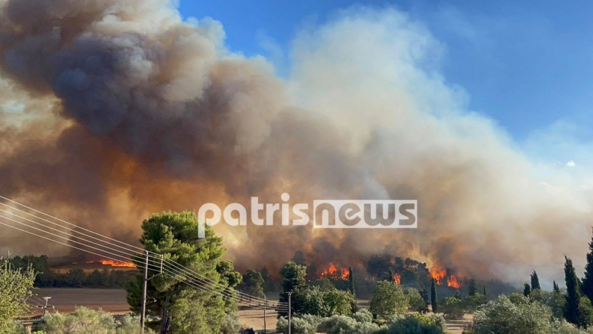Χάος με τη φωτιά στην Ηλεία, καίγεται η Νεμούτα