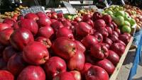 Ελληνικά μήλα: Έλαβαν έγκριση για εξαγωγή στην αγορά της Ινδίας