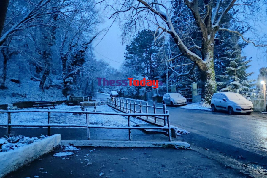 Χιόνια στη Θεσσαλονίκη: Ο Χορτιάτης στα «λευκά» - Μαγικές εικόνες