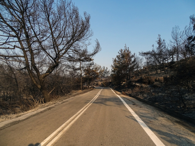 Χαρτογράφηση ευφλεκτότητας της νεκρής δασικής καύσιμης ύλης στην Ελλάδα από το meteo