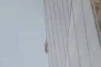 Σκαρφάλωσε στον ουρανοξύστη The Shard μόνο με τα χέρια του