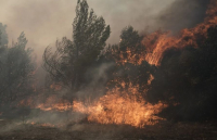 Φωτιά στην περιοχή Λυνίσταινα του Δήμου Ανδρίτσαινας – Κρεστένων