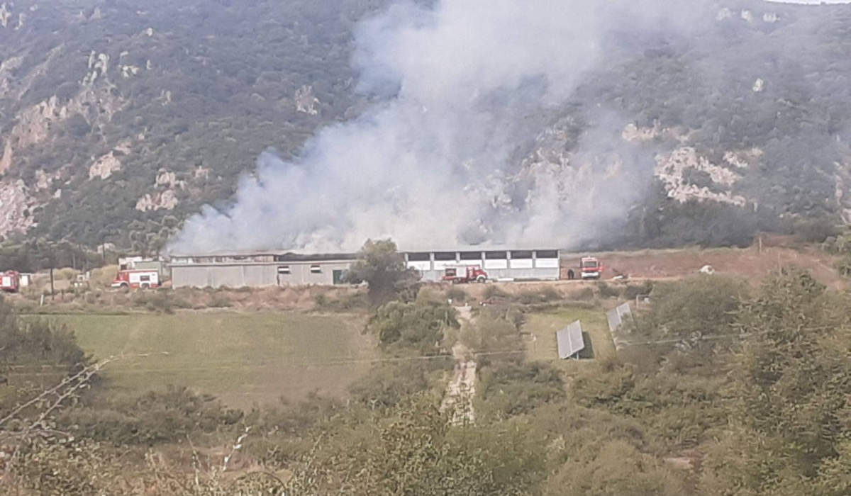 Μεγάλη φωτιά σε στάβλο στην Αιτωλοακαρνανία - Κάηκαν πρόβατα και αγροτικός εξοπλισμός