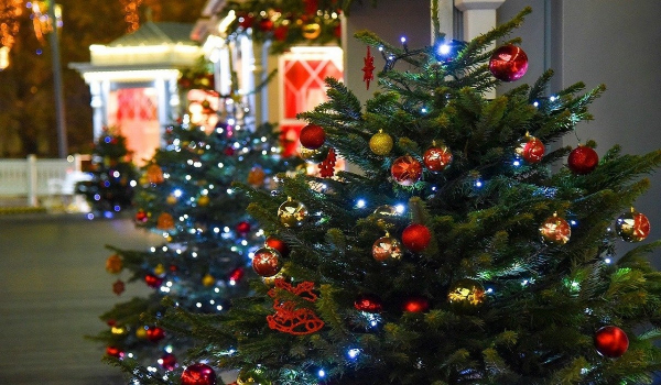 Αληθινά ή ψεύτικα χριστουγεννιάτικα δέντρα; - Ποια είναι καλύτερα για το περιβάλλον