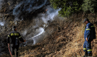 Χαλκιδική: Σε εξέλιξη φωτιά σε δασική έκταση - Ενισχυμένες οι δυνάμεις της Πυροσβεστικής