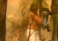 Βίντεο: Γυναίκα σώζει κοάλα σε πυρκαγιά - Το ζώο κλαίει από τους πόνους