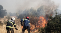 Μυτιλήνη: Υπό έλεγχο η φωτιά στην περιοχή Πετσοφά Καλλονής