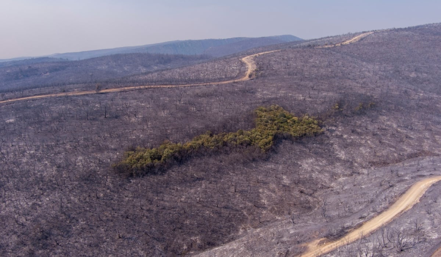 Χωρίς ενεργά μέτωπα η φωτιά στον Έβρο - Στάχτη 935.000 στρέμματα
