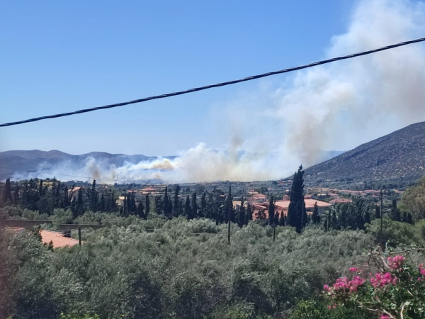 Καλύτερη η εικόνα της φωτιάς στη Φέριζα Σαρωνικού - Εκκενώθηκαν δύο οικισμοί