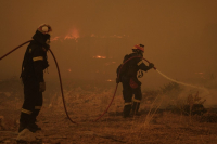 «Δασοκομάντο»: 550 πυροσβέστες στη «μάχη» με τις πυρκαγιές