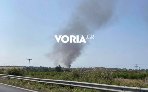 Χαλκιδική: Κάηκε σπίτι στη Βεργιά από φωτιά σε ξερά χόρτα και σκουπίδια