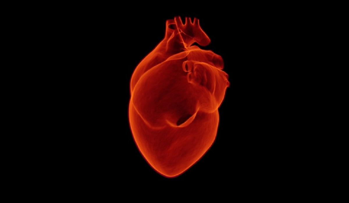 Το απλό τεστ του Χάρβαρντ που ελέγχει την υγεία της καρδιάς