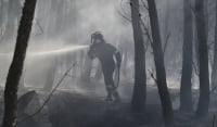 Πόρτο Γερμενό, Πικέρμι, Άγιος Ιωάννης: Αυτή είναι η κατάσταση με τις φωτιές