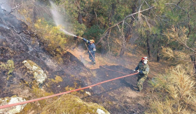 Φωτιά σε δάσος στο Ακριτοχώρι Μεσσηνίας - Μεγάλη κινητοποίηση της Πυροσβεστικής