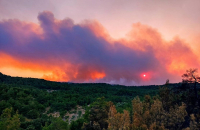 Νύχτα τρόμου από την φωτιά στον Έβρο: Μπήκε και ο στρατός στο δάσος της Δαδιάς - Ένωσε δυνάμεις με 320 πυροσβέστες