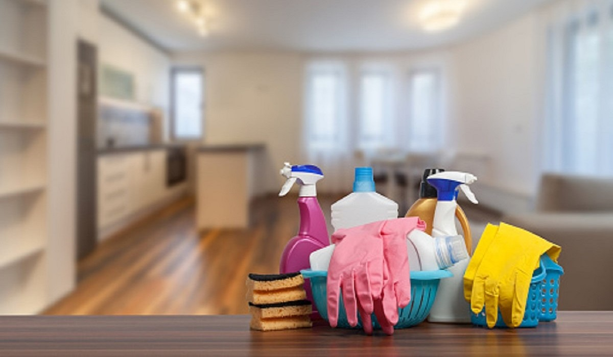 Η «μέθοδος της μύγας» για καθαρό σπίτι σε λίγα λεπτά