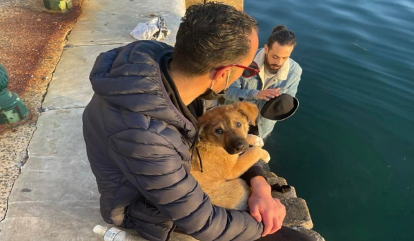 Θεσσαλονίκη: Έκανε βουτιά στον Θερμαϊκό για να σώσει σκυλάκι (Βίντεο)