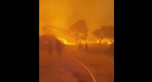 Ανατριχιαστικό βίντεο από την φωτιά στην Πεντέλη: Η τιτάνια μάχη πυροσβεστών με τις μανιασμένες φλόγες