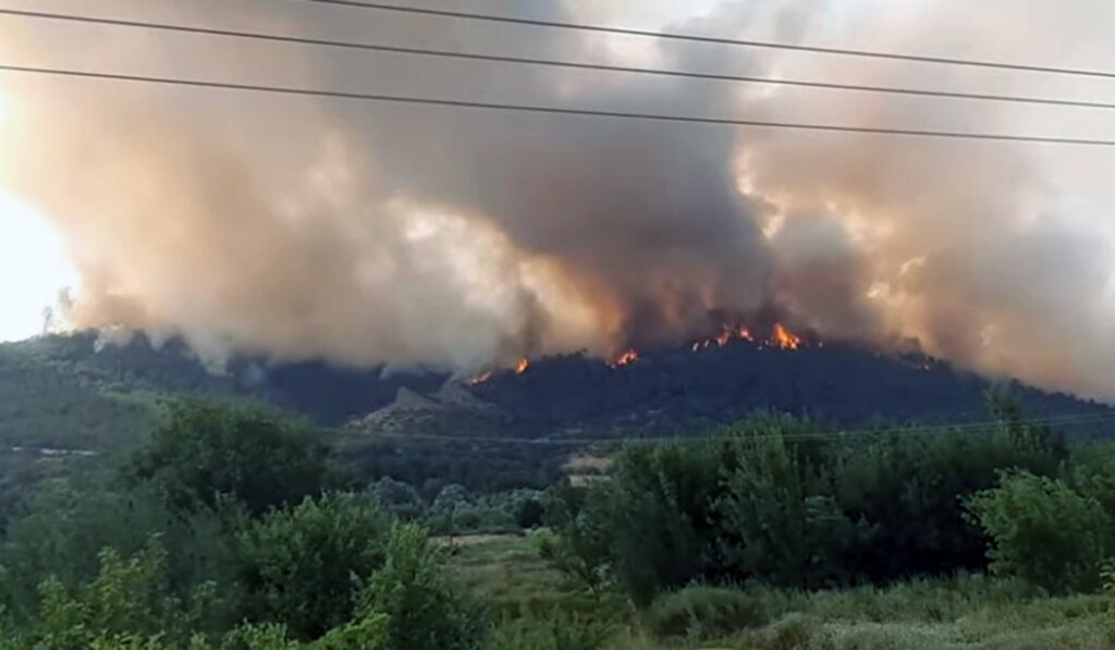 Φωτιά στον Έβρο: Τεράστια μάχη για να σωθεί το δάσος τη Δαδιάς – Ενισχύονται τα εναέρια μέσα