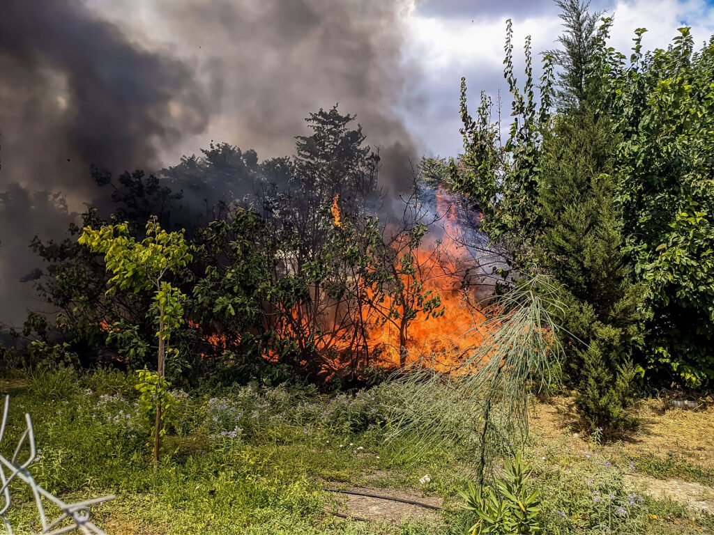 Φωτιά στην Εύβοια – Μεγάλη κινητοποίηση της Πυροσβεστικής