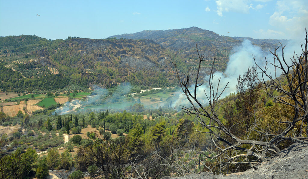 Υπό έλεγχο η πυρκαγιά στη Νεστάνη Αρκαδίας