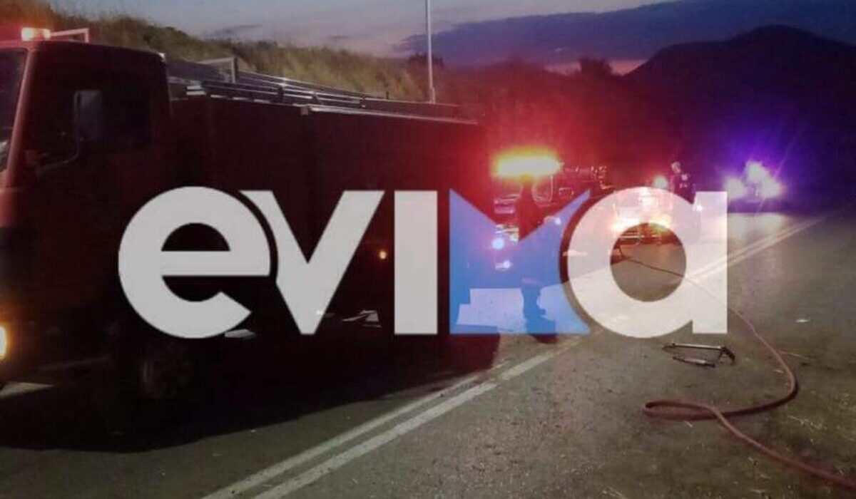 Θρίλερ στην Εύβοια: Πήγε να μαζέψει μανιτάρια και δεν γύρισε ποτέ – Αγωνία για 80χρονο
