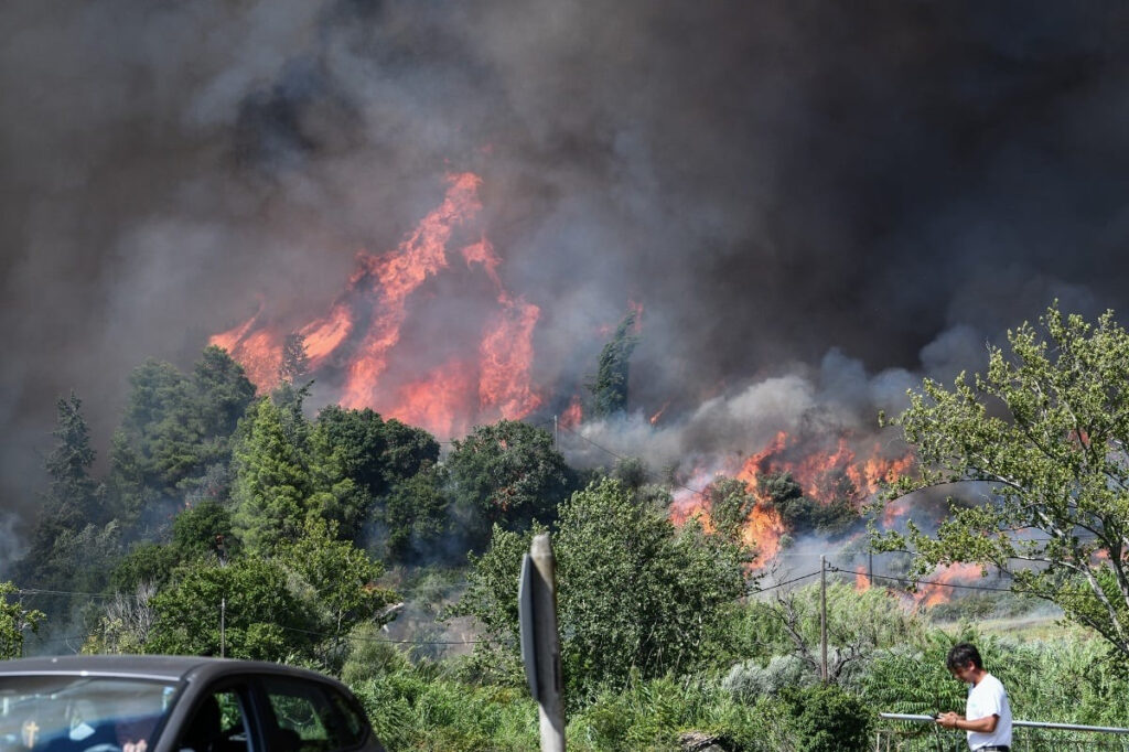 «Όλο και πιο συχνά θα σημειώνονται καύσωνες και πυρκαγιές» – Η προειδοποίηση Αμερικανού καθηγητή