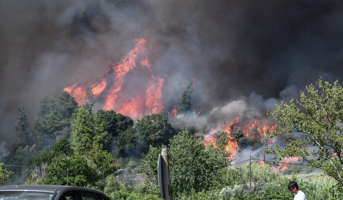 «Όλο και πιο συχνά θα σημειώνονται καύσωνες και πυρκαγιές» – Η προειδοποίηση Αμερικανού καθηγητή