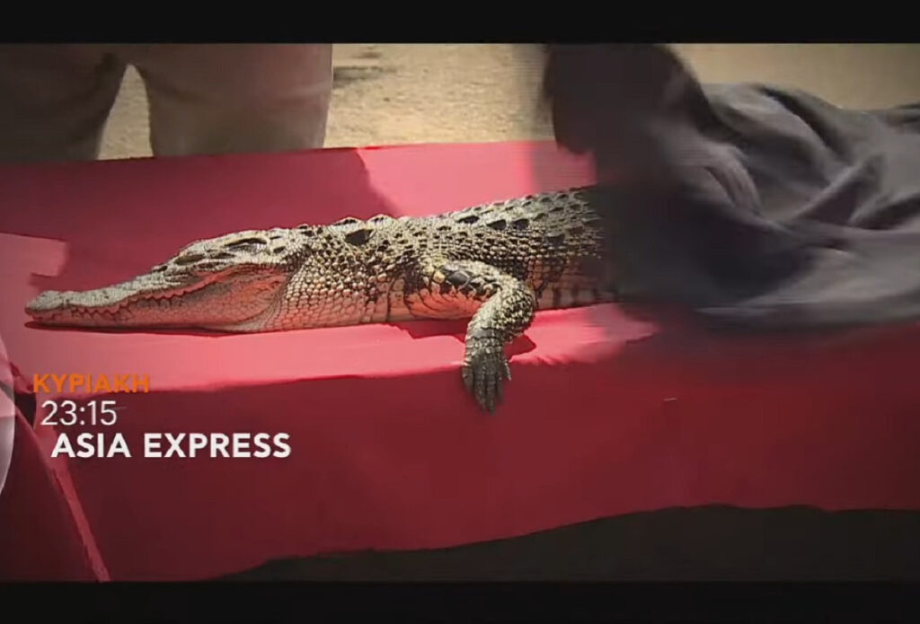 Asia Express: Ποιο ζευγάρι θα περάσει απευθείας στον τελικό;