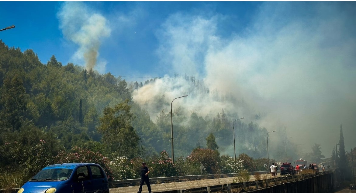 Φωτιά στην Ηλεία: Την κράτηση του 65χρονου για απόπειρα εμπρησμού από πρόθεση στις Μουριές διέταξε η εισαγγελέας