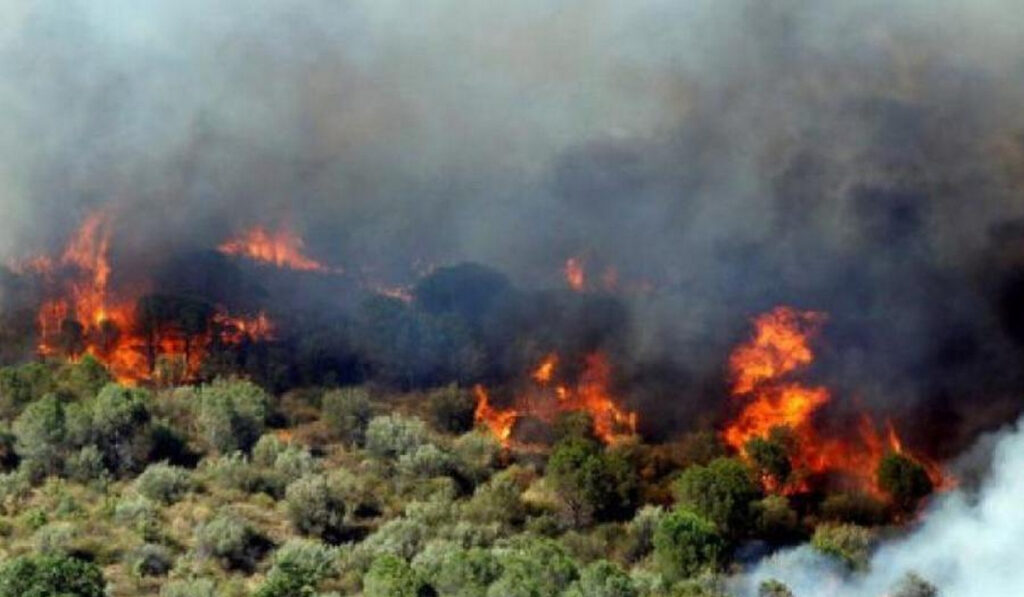 Πολύ υψηλός κίνδυνος φωτιάς την Κυριακή – Δείτε πού