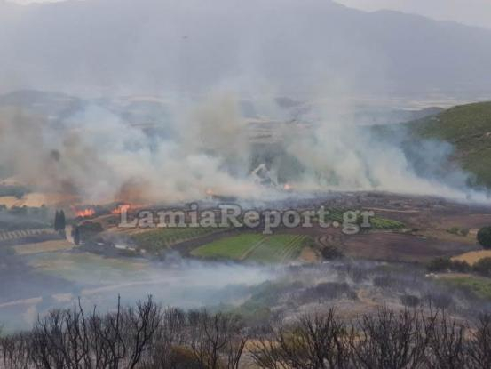 Ανεξέλεγκτες οι μεγάλες πυρκαγιές στη Φθιώτιδα – Εκκενώθηκε χωριό (video)