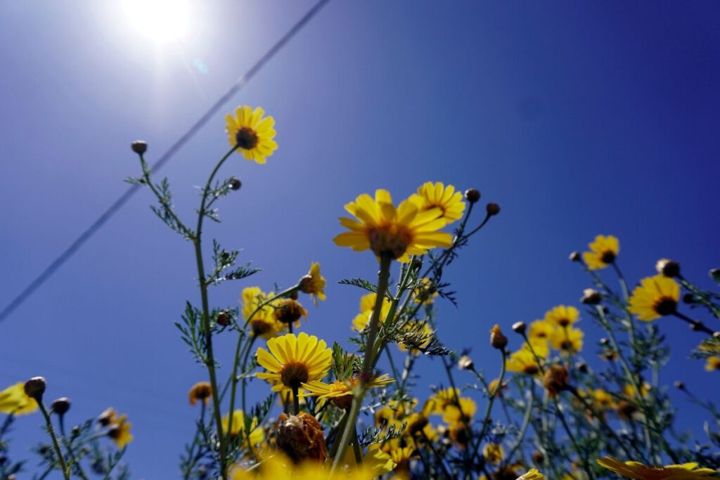 Ο καιρός σήμερα, Κυριακή 22/05