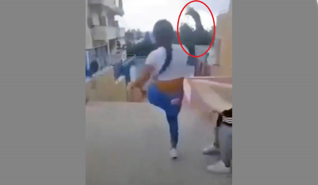 Ρέθυμνο: Ανήλικη κλώτσησε γάτα, διασκεδάζοντας με τις φίλες της (βίντεο)