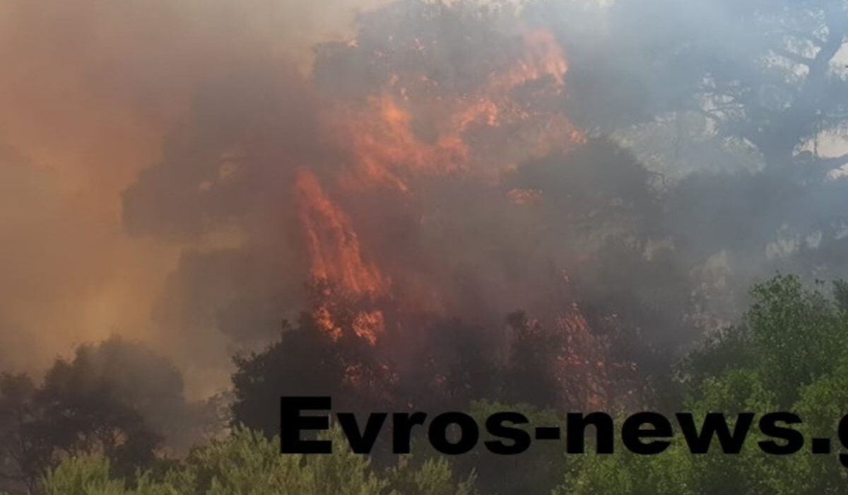 Φωτιά στον Έβρο, στην περιοχή Αρίστεινο – Εκκενώνονται τα παιδικά χωριά SOS