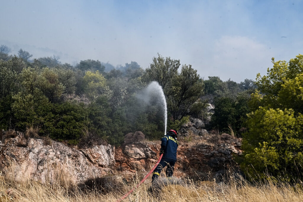 Νέα εστία φωτιάς στον Αυλώνα – Προσαγωγές για απόπειρα εμπρησμού