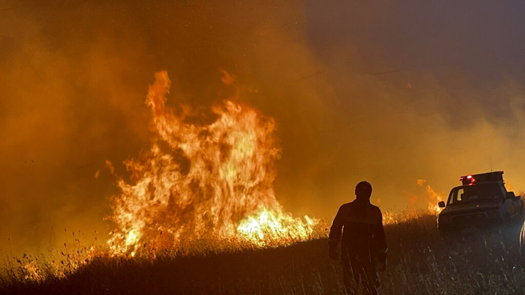 Ηλεία: Υπόνοιες για εμπρησμό – Δεν υπάρχει ενεργό μέτωπο