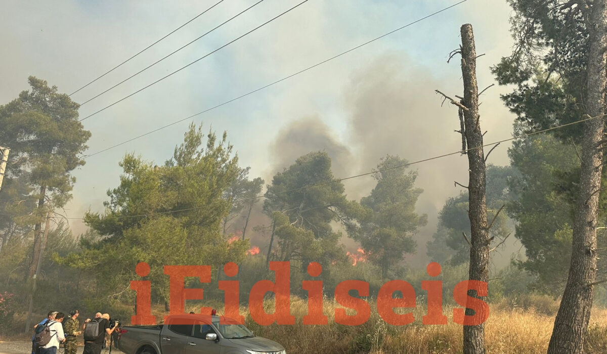 Φωτιά στη Σταμάτα: Πληροφορίες για τραυματισμένο άτομο