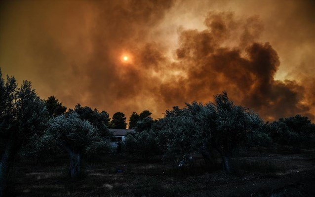 Υπό έλεγχο η πυρκαγιά στην Κάρυστο