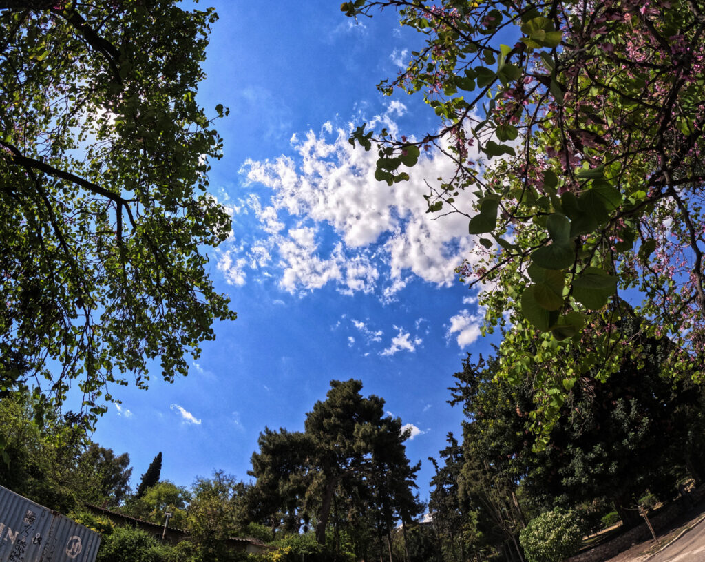 Meteo: Αίθριος καιρός με υψηλές θερμοκρασίες την Τρίτη 9/4