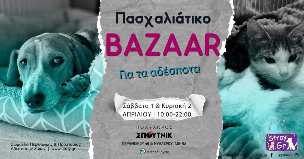 Πάσχα και Παγκόσμια Ημέρα Αδέσποτων Ζώων; Ευκαιρία για στήριξη στο stray.gr!