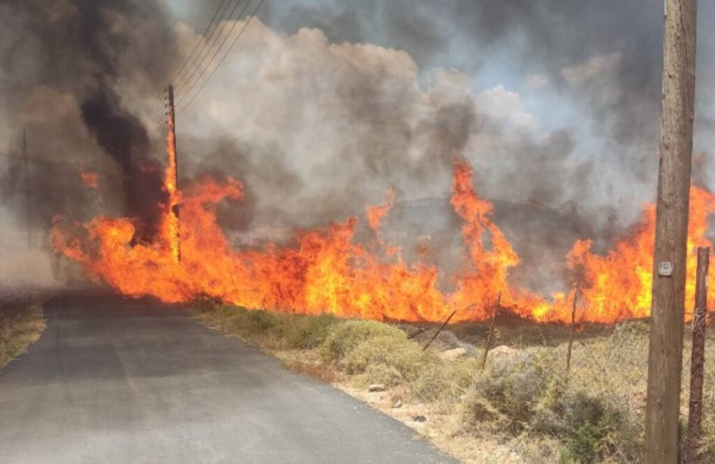 Φωτιά στην Κερατέα: Στο αυτόφωρο άνδρας για εμπρησμό – Τι ισχυρίστηκε