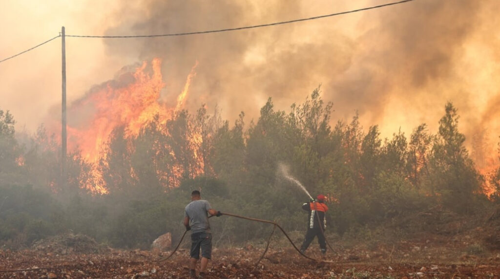 Οριοθετήθηκε η φωτιά σε δασική έκταση στην Αγία Τριάδα Μεσσηνίας