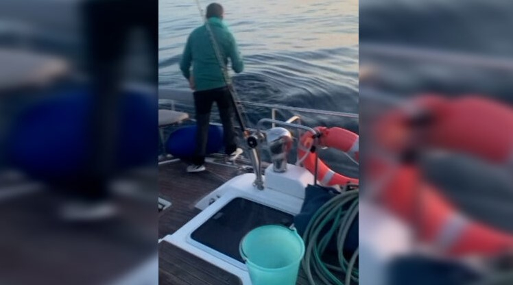 Ισπανία: Ιστιοφόρο δέχθηκε επίθεση από φάλαινες δολοφόνους (βίντεο)