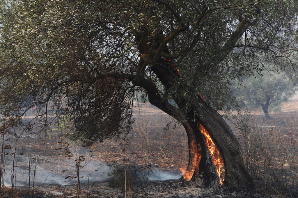 Η κατάσταση στα πύρινα μέτωπα σε Κω, Χίο και Ηράκλειο – Συνολικά 36 φωτιές το τελευταίο 24ωρο σε όλη τη χώρα