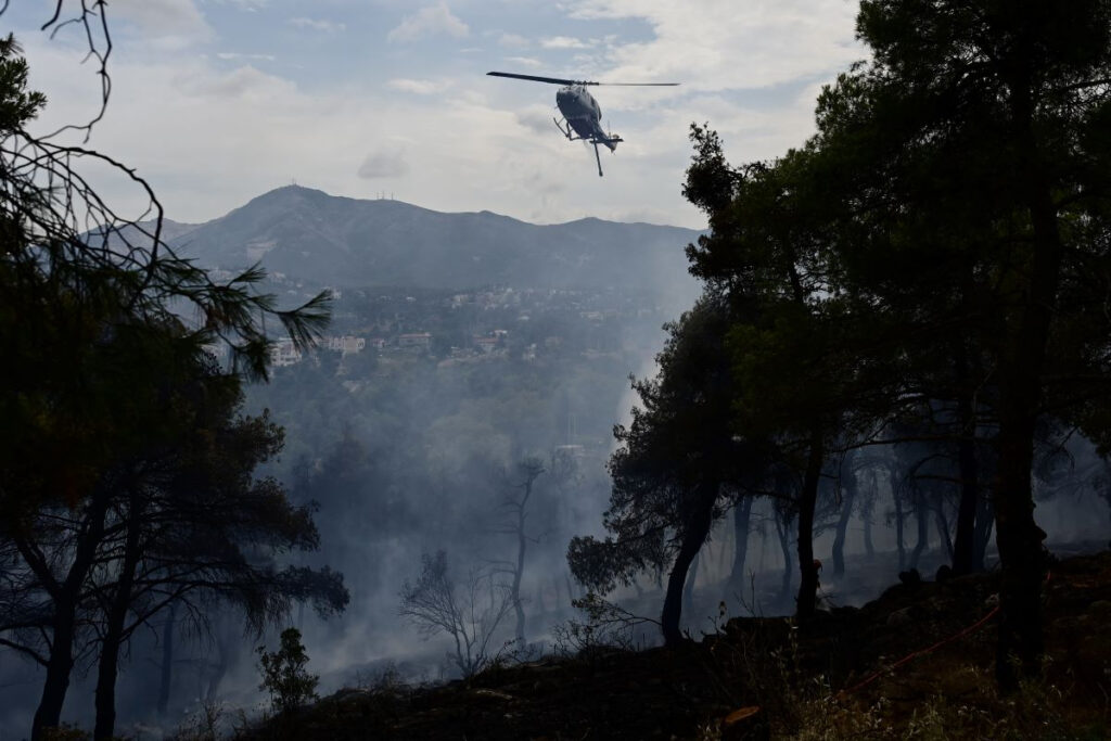 Φωτιά τώρα στη Δίβρη Φθιώτιδας – Καίει δάσος η πυρκαγιά