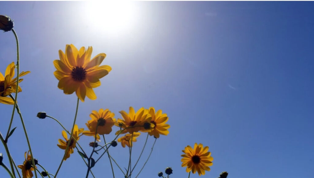 Meteo: Χριστούγεννα με θερμοκρασία στους 20°C σε Χανιά και Βέροια